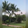 steve_harringto